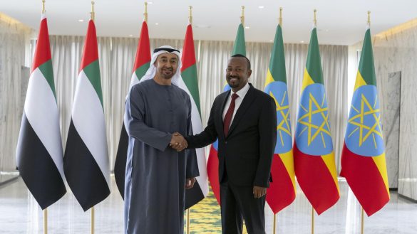 UAE President and Ethiopian PM discuss mutual interests