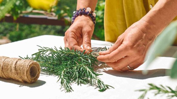 Harnessing the power of rosemary for inflammation relief